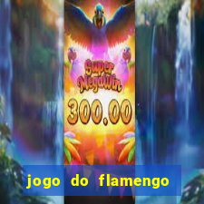 jogo do flamengo multi canais